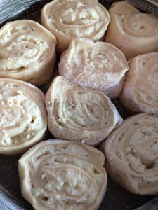 Puddingschnecken